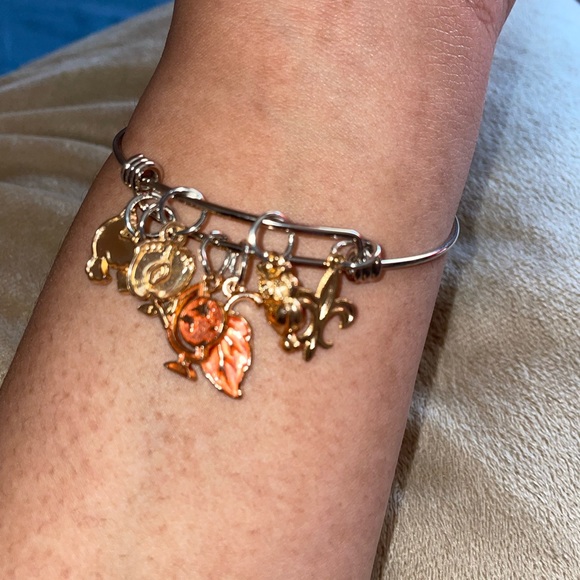 Seeker - Picture 4 of 5